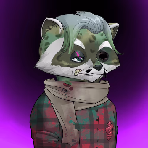 Raccoon Secret Society
