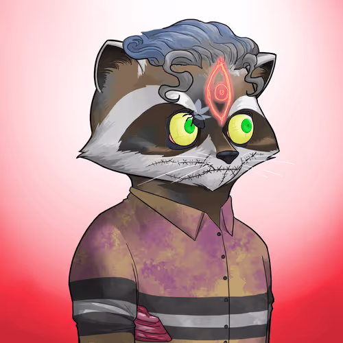 Raccoon Secret Society