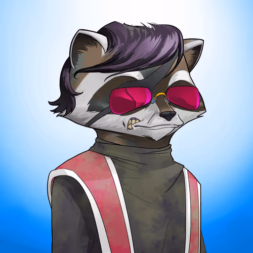 Raccoon Secret Society