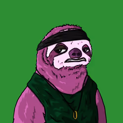 Sammy Sloth Amazon Rainforest Project #304