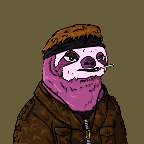 Sammy Sloth Amazon Rainforest Project #50