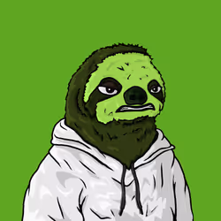 Sammy Sloth Amazon Rainforest Project #321