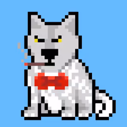 Wolf #1