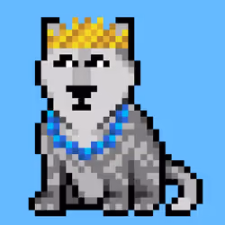 Wolf #6