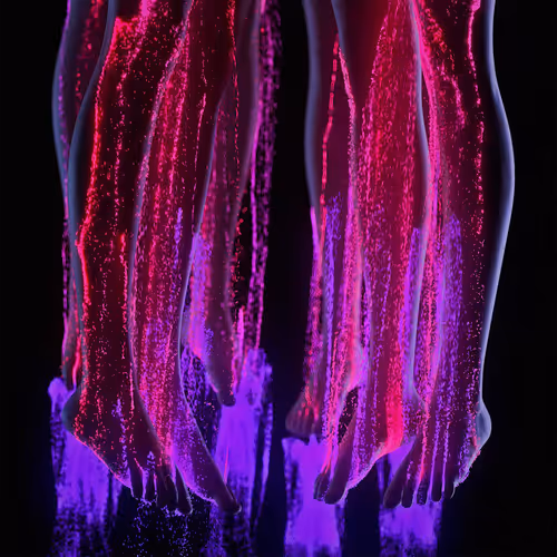 Item #7300030005 Media