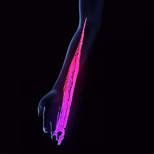 Item #7300040008 Media