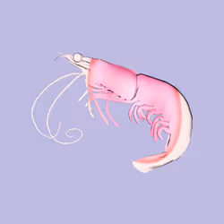 2685
