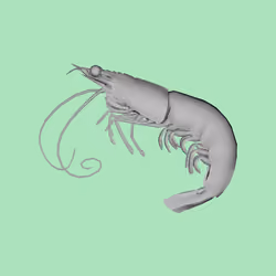 10b57e6 #4554