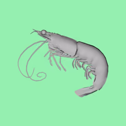 10b57e6 #1517