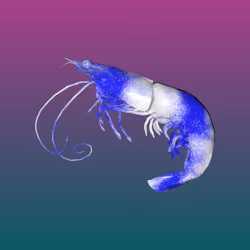 10b57e6 #75