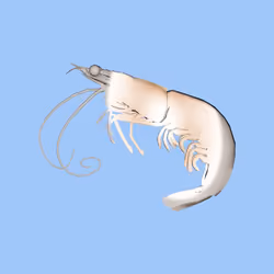 10b57e6 #3242