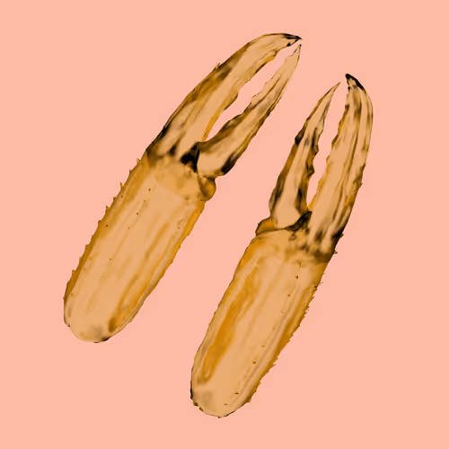 Lobsterdao