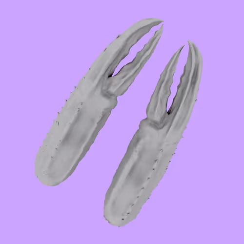 Item #2471 Media