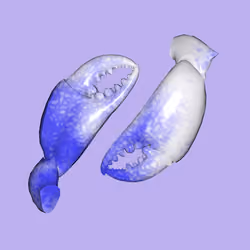 10b57e6 #2661