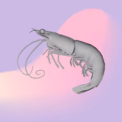 2358