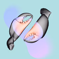 2969