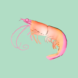 10b57e6 #915