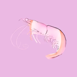 10b57e6 #4566