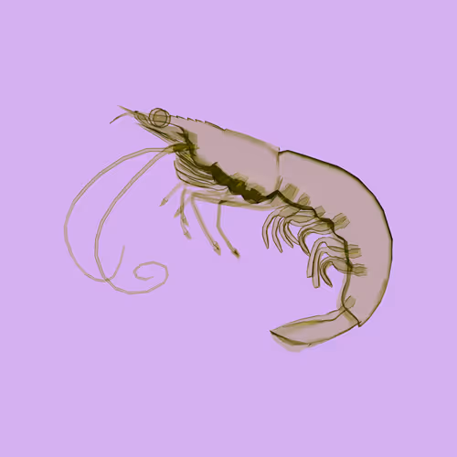 Lobsterdao