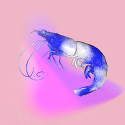 2083
