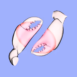 10b57e6 #3913