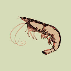 10b57e6 #5644