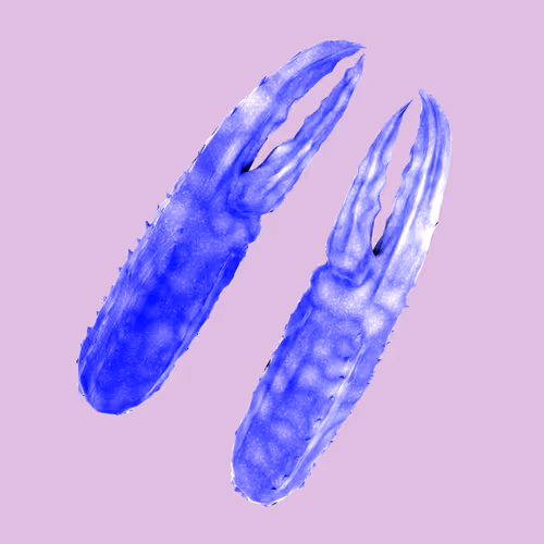 10b57e6 #4563