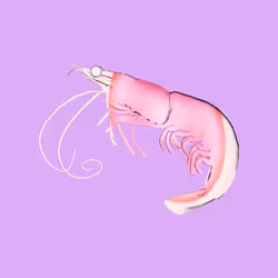 10b57e6 #4885