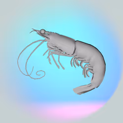 1124