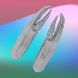 1217