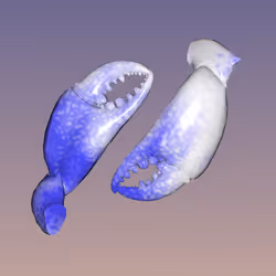 10b57e6 #396
