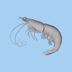 10b57e6 #3279