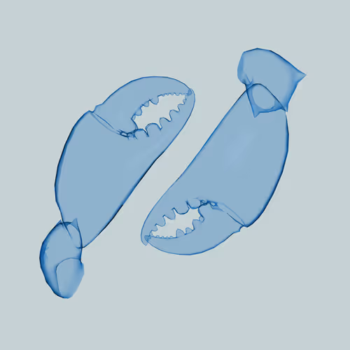 Lobsterdao