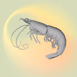 1696