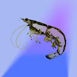 3142