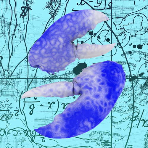 10b57e6 #2892