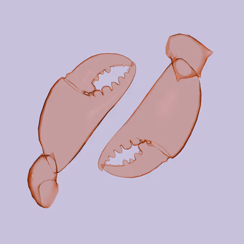10b57e6 #5219