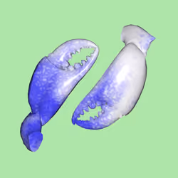 10b57e6 #5461