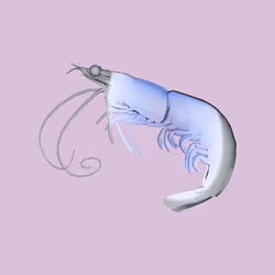 10b57e6 #2981