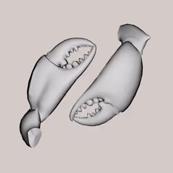 10b57e6 #4260