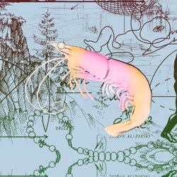 10b57e6 #5374