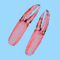 10b57e6 #3167