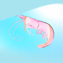 2381