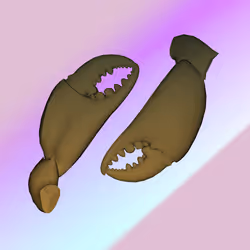 2841