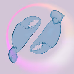 10b57e6 #2908