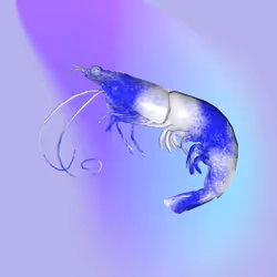 2359