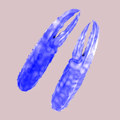 Lobsterdao