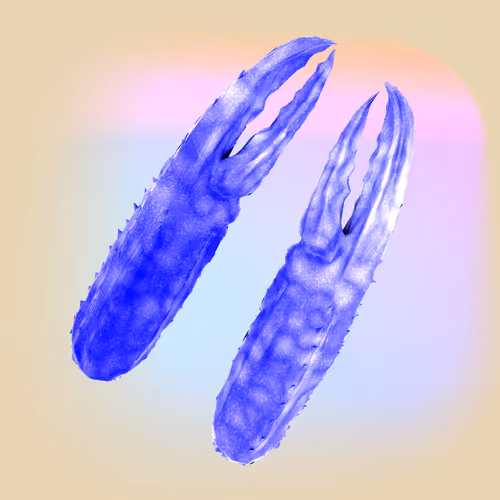 Lobsterdao