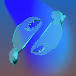 1162