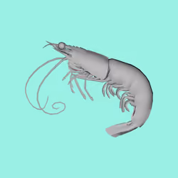 573